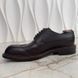 Brogue Dress Shoes Wingtip Bordeaux Taiga Leather