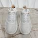 Show Up Monogram Damier Logo White Mesh