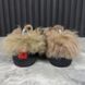 Ace Web Bee Embroidered Sneaker Black Fur Leather