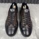 Slalom Monogram Sneakers Brown Leather
