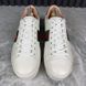 Ace Platform white sneakers