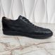 Offshore Damier Sneakers Black Nylon