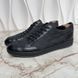 Offshore Damier Sneakers Black Nylon