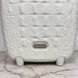 Alexander Mcqueen Spinner Trolley Suitcase Crocodile Embossed Plastic