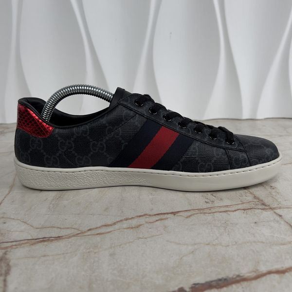 Ace Web Sneakers Gray Monogram Canvas Blue Red Python Heels