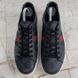 Ace Web Sneakers Gray Monogram Canvas Blue Red Python Heels