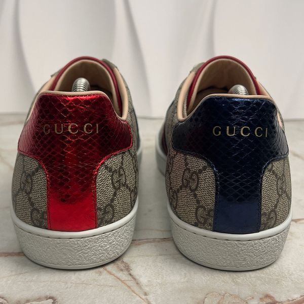 ACE Supreme GG Canvas Python Beige Leather Sneakers