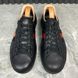 Ace Sneakers Web Bees Embroidered Black Leather