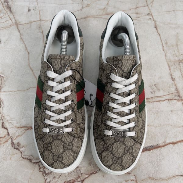 ACE Web Sneakers Beige Ebony Supreme Canvas Leather