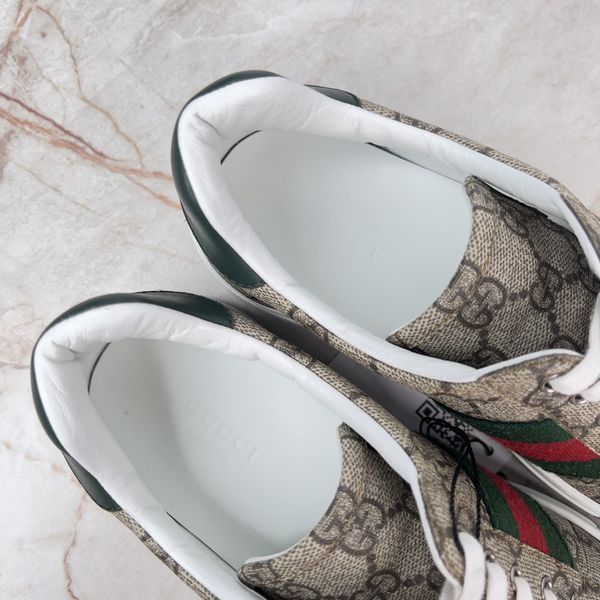 ACE Web Sneakers Beige Ebony Supreme Canvas Leather