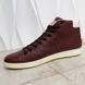 Surfside Logo Sneakers Graine Brown Leather