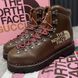 The North Face Ankle Boots Hiking Brown Leather