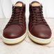 Surfside Logo Sneakers Graine Brown Leather