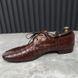 Derby Alligator Crocodile Brown Leather