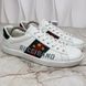 Ace Web Gucci Band Stars кросівки білі шкіряні 1425 фото 4