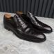 Derby Brogue Perforated Brown Leather