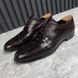 Derby Brogue Perforated Brown Leather
