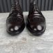 Derby Brogue Perforated Brown Leather
