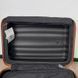 Lite Cube DLX Curv Spinner 55/20 and NEW 76/28 Suitcase With Lite DLX Case
