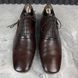 Oxford Dress Shoes Brown Leather Crocodile Trim