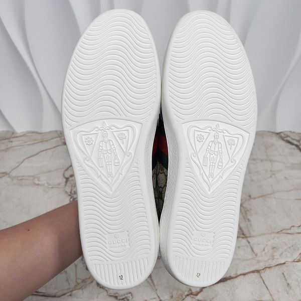Ace Web Sneaker Supreme GG Beige Canvas Bee Print