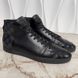 Line Up Sneakers Damier Canvas Black Leather