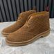 Moreau Web GG Signature Desert Boots Camel Brown Suede