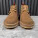 Moreau Web GG Signature Desert Boots Camel Brown Suede