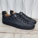 Frontrow Damier Cobalt кросівки темно сині з канви 3703 фото 5