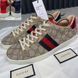 Ace GG Supreme Canvas кросівки бежеві шкіряні 3164 фото 8