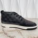 Damier Graphite Sneaker Gray Suede